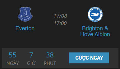 match everton vs brighton